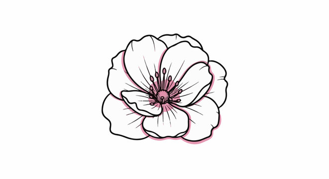 Delicate sketch of a blooming flower with thin black lines and soft pink accents
