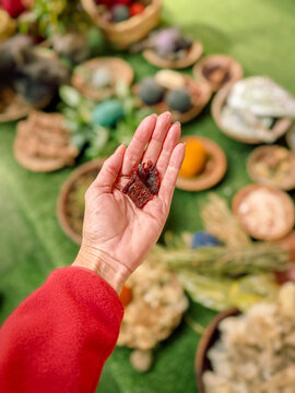 Hand Holding Dried Meat Over Traditional Offerings
