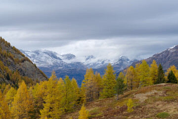 Fototapeta premium Mountain scenery on the Simplon Pass between the Lepontine Alps and the Pennine Alps in Switzerland, just across the international border between Switzerland and Italy