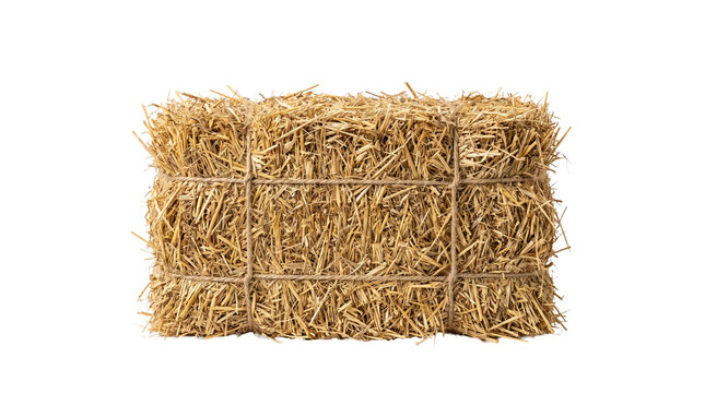 A neatly wrapped bale of hay on a black background