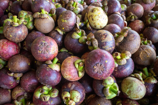 Fresh ripe purple mangosteens, Manggis (Garcinia mangostana L.) for natural background