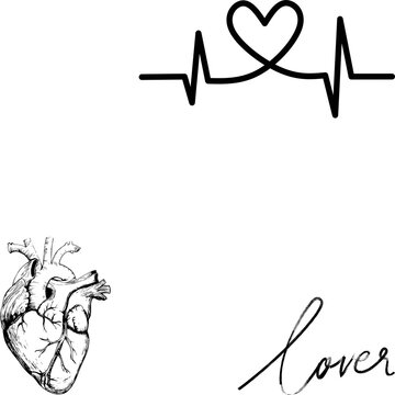 heart and heartbeat