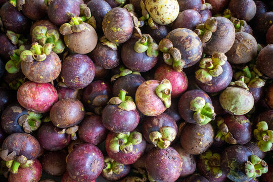 Fresh ripe purple mangosteens, Manggis (Garcinia mangostana L.) for natural background