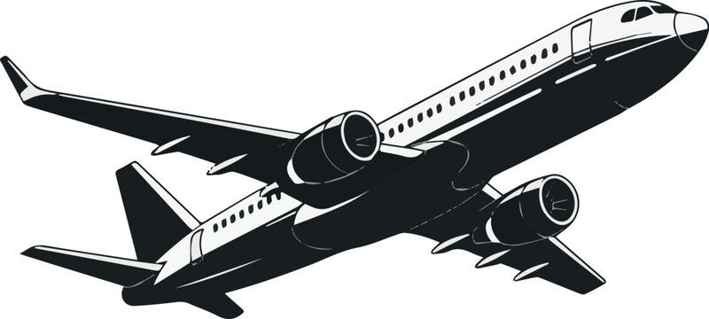 Passenger jet profile in flight