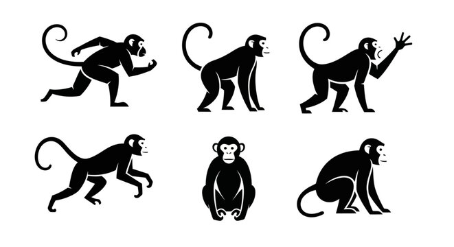 Monkey Silhouettes in Various Poses - Primate Icons Set