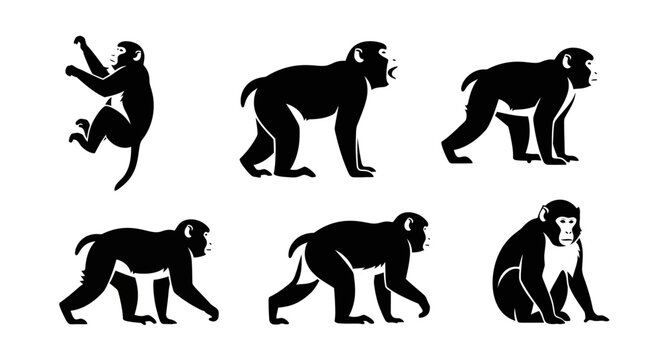 Set of Monkey Silhouettes in Various Poses