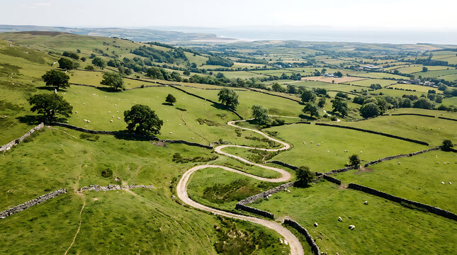 Bird's-eye view of a winding country road through green rolling hills and pastures under a clear sky