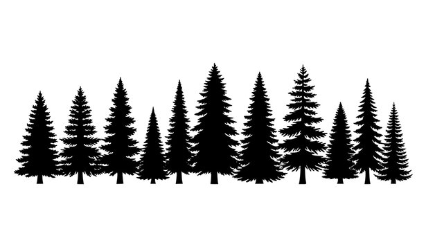 Forest pine tree silhouette vector collection evergreen nature set