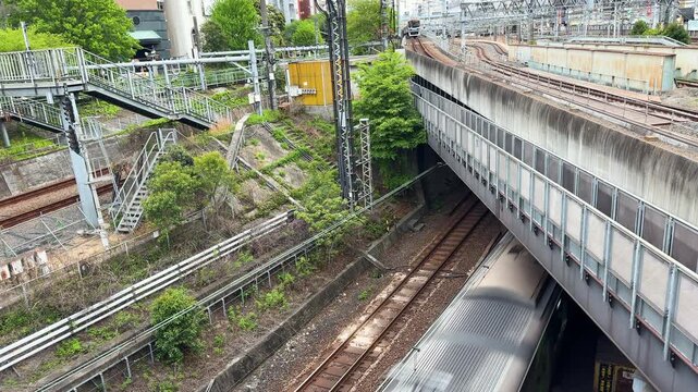 池袋大橋下の立体交差線路を通過する山手線と埼京線