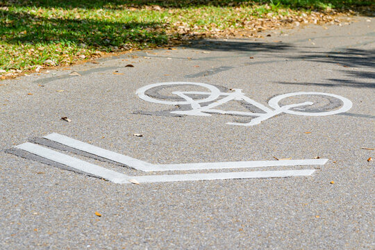 Closeup of Bike Lane Symbol and Arrows Showing Direction of Traffic Flow for Bicycles on the Bike Lane in Audubon Park in Uptown New Orleans, LA, USA   