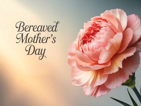 Bereaved mothers day greeting card with a soft peach carnation