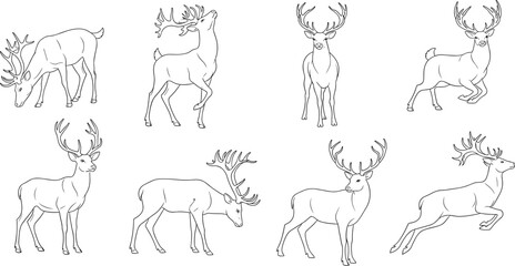 Fototapeta premium Deer Stag Line Art Set Outline Bundle Isolated on White.