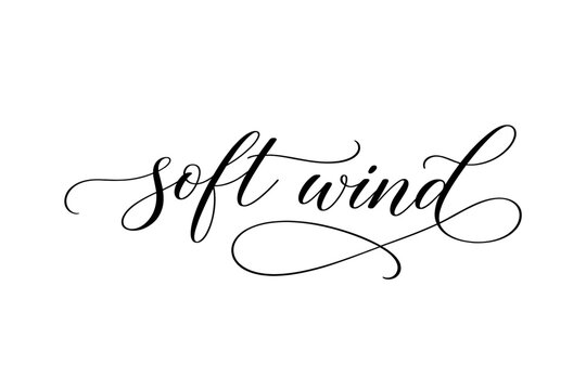 Elegant handwritten script font design featuring the words soft wind in black ink. Beautiful calligraphy lettering perfect for wedding invitations, greeting cards, branding, and minimalist art.