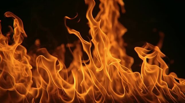 Pahami prompt berikut dengan akurat! Deskripsikan gambar berikut secara singkat dan jelas terdiri dari dua sampai tiga kalimat dalam bahasa inggris. Buatkan untuk juga judul terbaik dengan minimal 75 