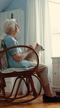 Senior woman, window and thinking with dog in home for vision, memory and relax in rocking chair. Old person, puppy and animal pet in house for retirement, peace and reflection for ideas and memories