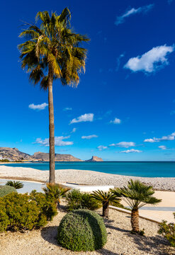 Panoramic view of Playa de Altea beach at the Mediterranean sea Costa Blanca shoreline with seafront Morro de Toix and Ilfach cliffs in Altea in Spain