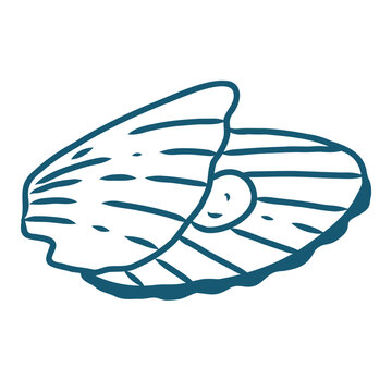 Hand drawn sea shell vector line art illustration on white background.