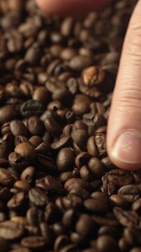 Close-up of male hands with roasted coffee beans, arabica coffee background
