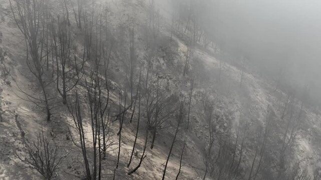 Aerial of a burnt mountainside from a recent wildfire. Near Los Angeles California.