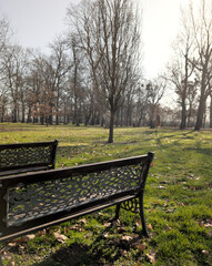 Fototapeta premium Rear view of rows of rustic metal and wooden park benches in early spring with bare trees vertical