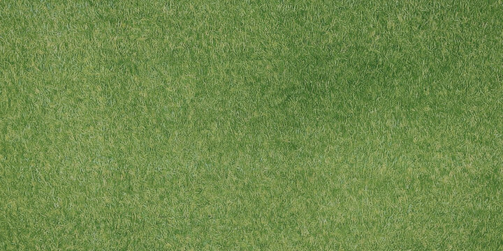 Green grass field for background or texture