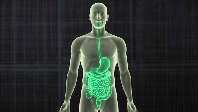 A digital illustration of a human body with a highlighted digestive system, showing the stomach and intestines in green on a dark background, conveying a sense of stomach pain and discomfort.
