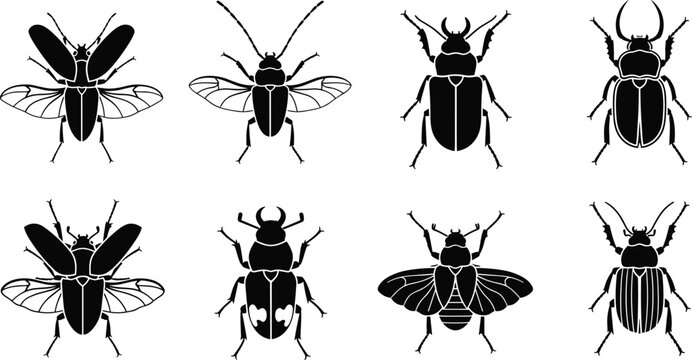 Insect silhouette icon set featuring beetles flies bugs and winged insects in black vector illustration collection