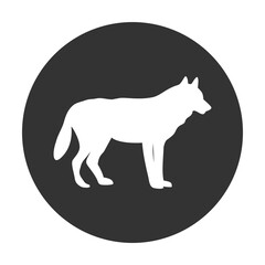 Fototapeta premium Wolf icon isolated on transparent background