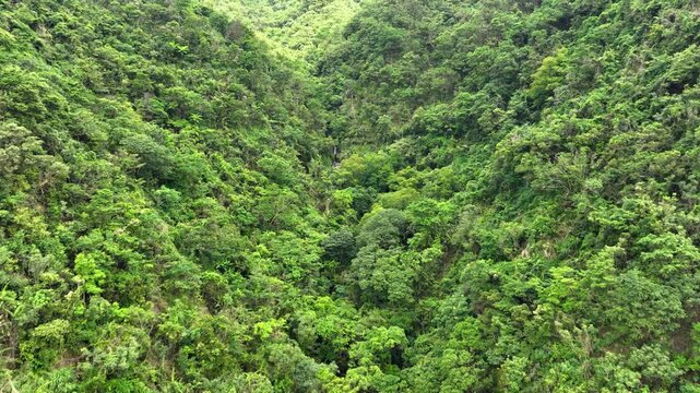 Aerial of the forest covered mountains on the east coast of Taiwan.