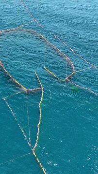 Aerial of a permanent fish nets off the coast of Taiwan. Vertical video.