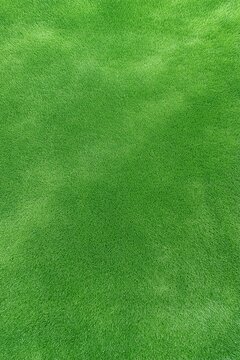 Vibrant textured green grass lawn background with lush foliage