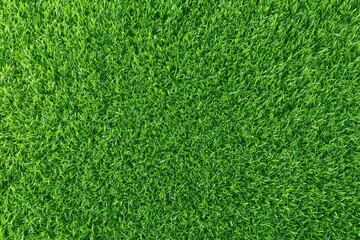 Fototapeta premium Vibrant lush green grass texture in sunlight