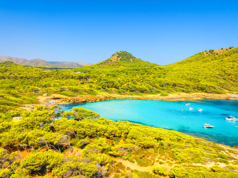 Aerial view of Cala Agulla beach and turquoise bay with boats in Mallorca. Scenic Balearic Islands coastline landscape in Spain. Summer vacation and Mediterranean nature from drone.