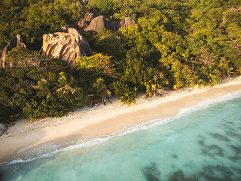 Aerial view of Anse Source d'Argent beach featuring iconic granite rock formations, white sand, and turquoise water surrounded by lush tropical vegetation in L'Union Estate, Seychelles.