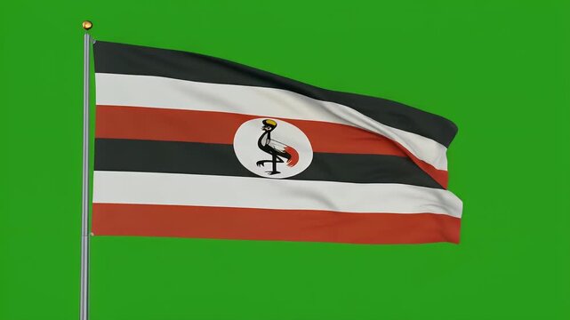 The flag of Uganda waves gently on a pole against a green background