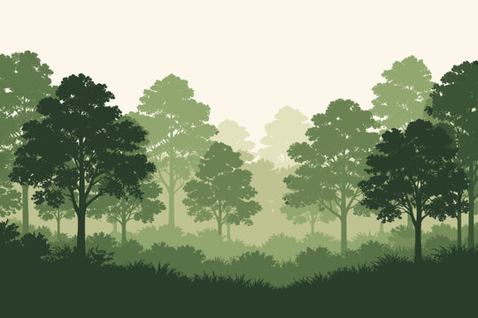Green Deciduous Forest Silhouette in Panoramic Banner Style; Simple Flat Vector Illustration of Misty Woods Landscape with Layered Trees, Grass, and Bushes for Nature Background and Web Design.