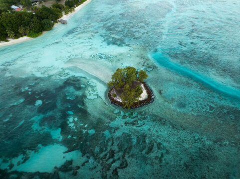 Aerial view of a small tropical islet with lush trees surrounded by turquoise coral reefs and clear shallow waters Anse Reunion, La Digue, Seychelles.