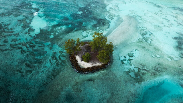 Aerial view of a small tropical islet with lush green trees surrounded by turquoise coral reefs and crystal clear ocean water in Anse Reunion, La Digue, Seychelles.