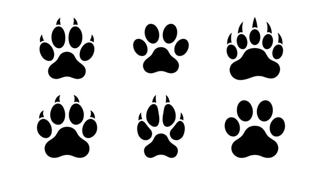 Animal paw print vector set, black predator footprints with claws, 6 wild animal track icons, grizzly bear and wolf paw silhouettes