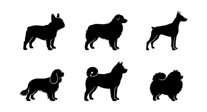 Dog breed silhouettes collection, set of 6 black canine vector icons, purebred dog profile shapes for pet shop branding and veterinary clinic logos