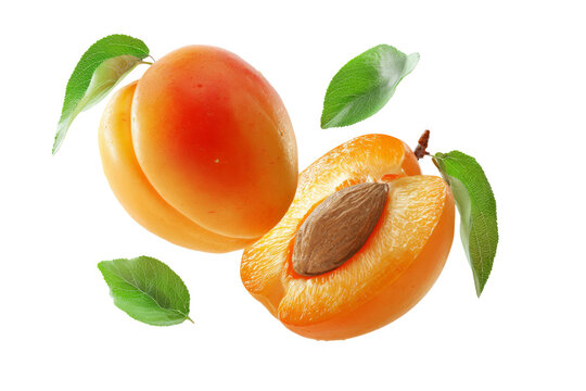 Fresh apricot fruit with half seed and green leaves isolated on transparent background