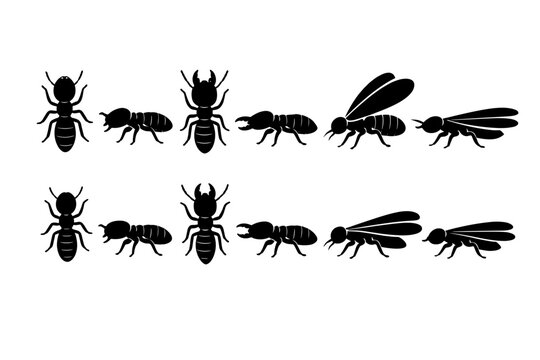 Set of black termite insect silhouettes showing different castes like worker, soldier with mandibles, and winged alate in top and side views for pest control, entomology, and biology research.