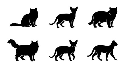 Black cat silhouettes collection, set of 6 domestic feline vector icons, standing and sitting pet animal shapes, minimalist kitten profile graphics © Kazi