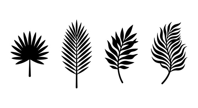 Tropical palm leaf silhouettes, set of 4 black botanical vector elements, minimalist exotic foliage icons for summer vacation branding and logo design