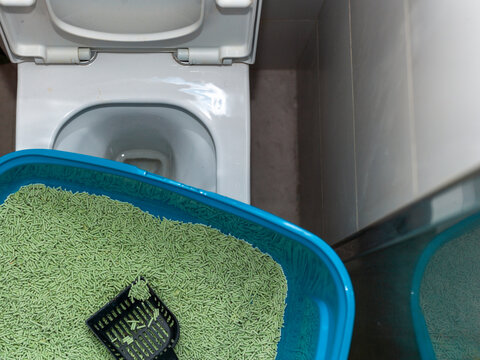 throwing a cat litter