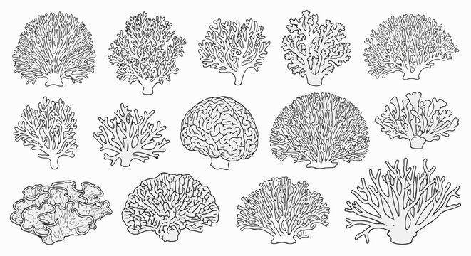 Collection of diverse coral shapes and one brain illustration, rendered in black and white