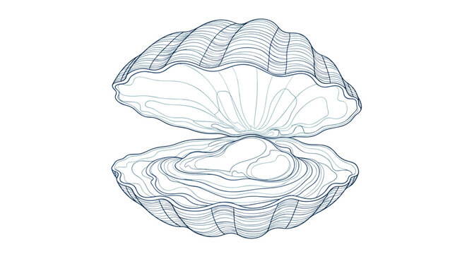 Elegant blue line drawing of an open oyster shell containing a large precious pearl resting on the bottom valve.