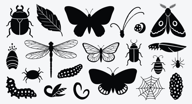 Insect icons, bug silhouettes, 20 black vector graphics, insect set, bug collection
