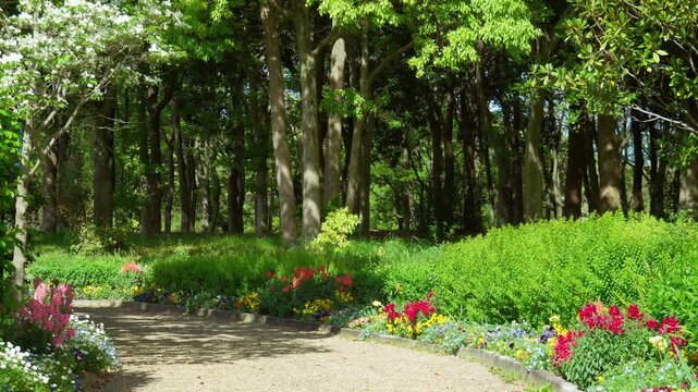 公園の遊歩道を彩る鮮やかな春の花
