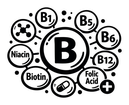 Vitamin B complex illustration showing various B vitamins like B1, B5, B6, B12, Niacin, Biotin, Folic Acid promoting health